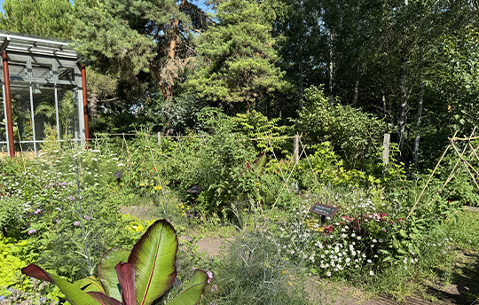 540x344_serre-pedagogique-du-vert-de-maisons3