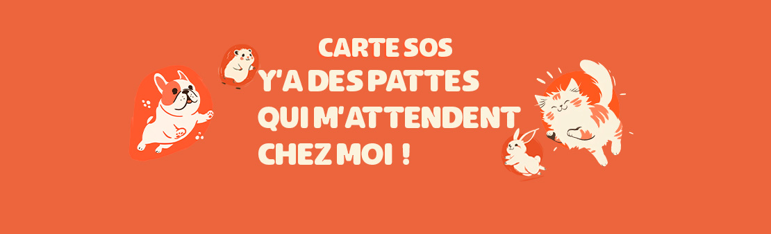 Carte SOS, j’ai un animal seul chez moi