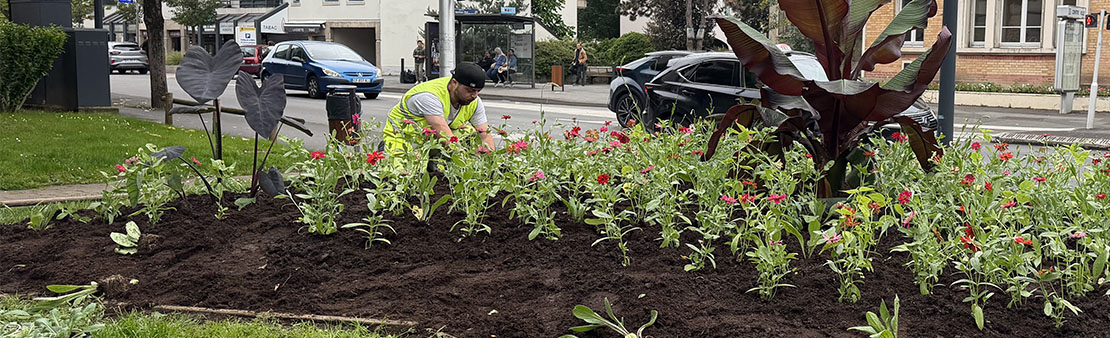 Espaces verts : un entretien continu par les services de la Ville