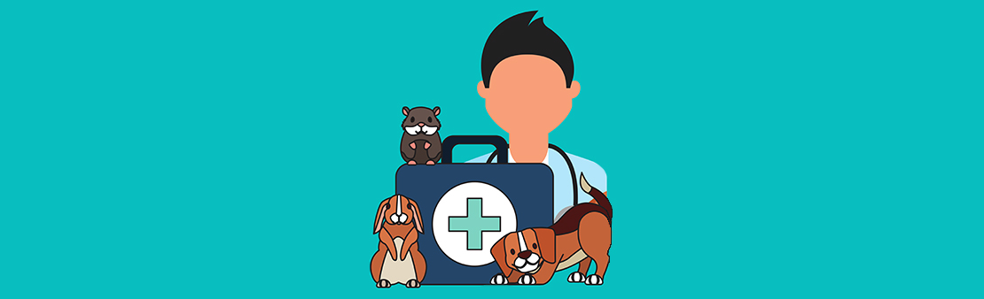Réunion d’information : les études vétérinaires