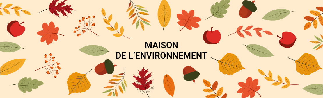 Maison de l’Environnement : programme