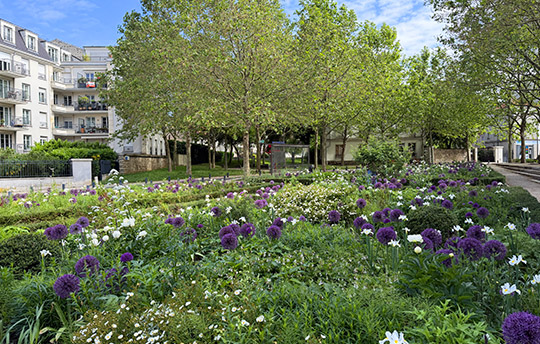 article_540x344_Square Saint Remi
