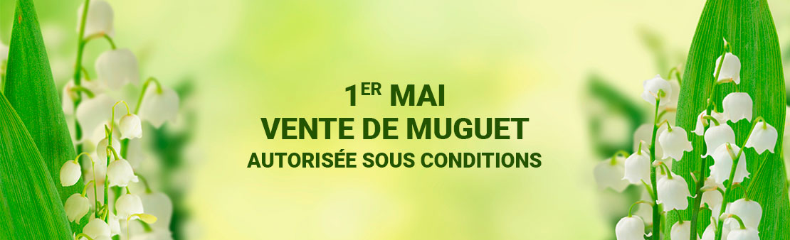 Covid-19 : la vente de muguet du 1er mai autorisée sous conditions