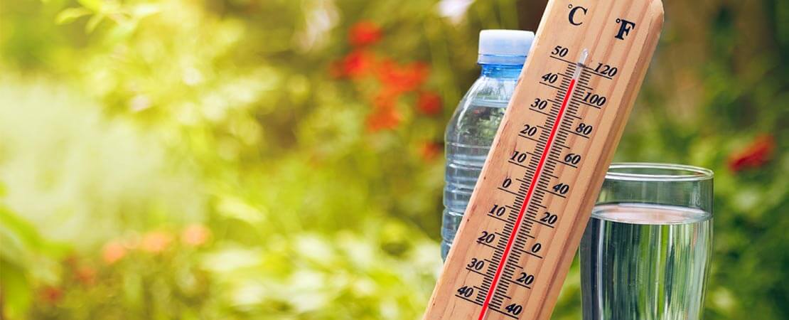 Plan canicule : les mesures prises par la Ville en cas de fortes chaleurs