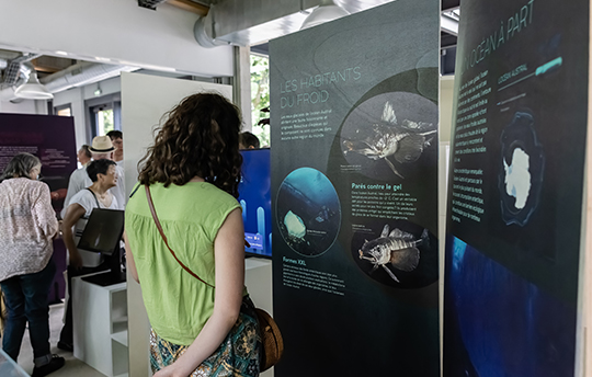 espace_exposition_Maison_Environnement