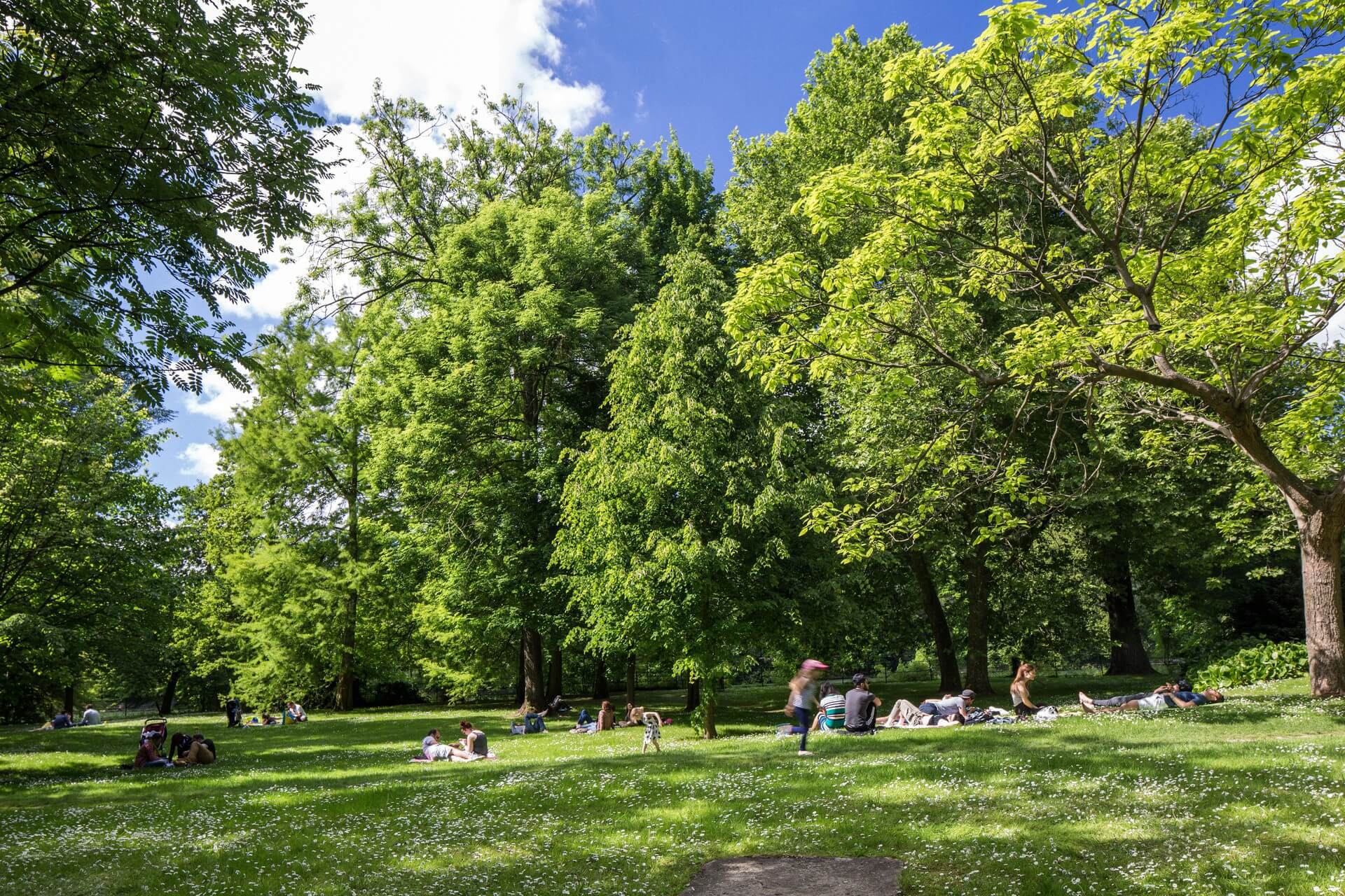 Exposition : la nature en ville