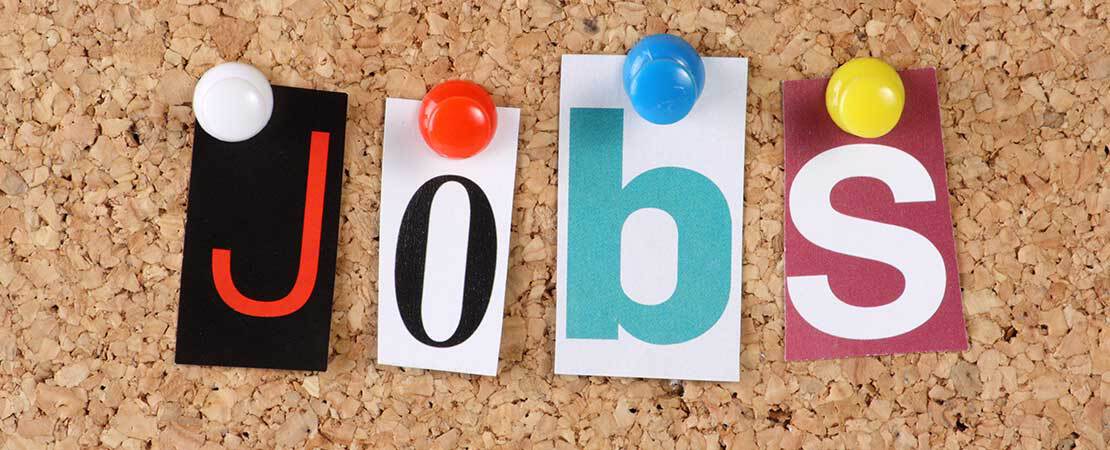 Jobs d’été