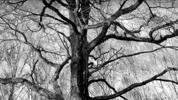 44e Salon d’Art Photographique