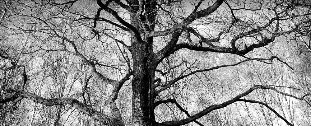 44e Salon d’Art Photographique