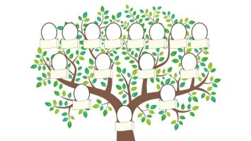 Atelier « Réaliser un arbre généalogique en famille »