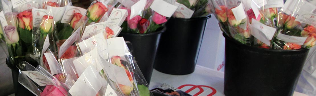 13ème édition de l’opération « Les fleurs de la fraternité »