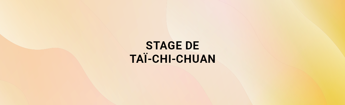 Stage de taï-chi-chuan