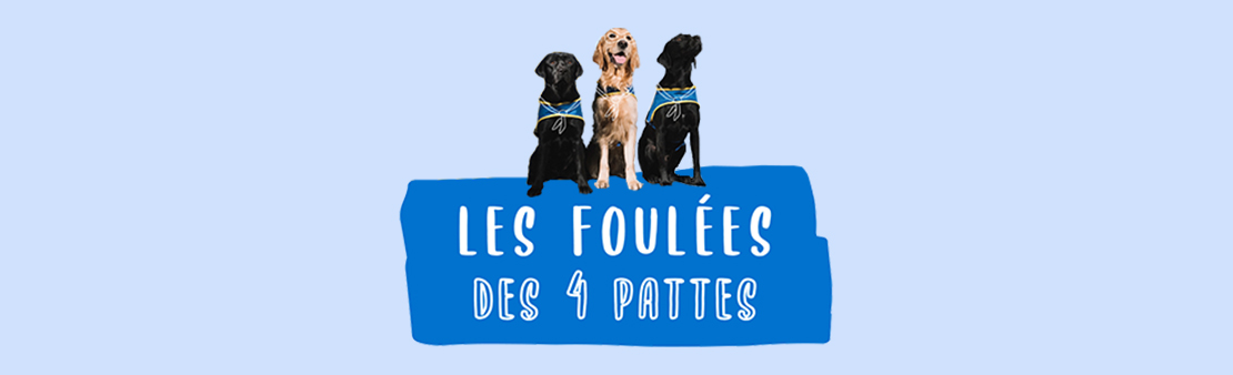 Course solidaire : les foulées des 4 pattes