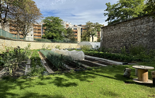 540x344_Maraichage-municipal_4