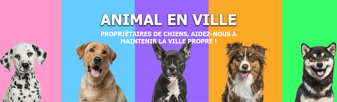 Animal en ville : propriétaires de chiens, aidez-nous à maintenir la ville propre !