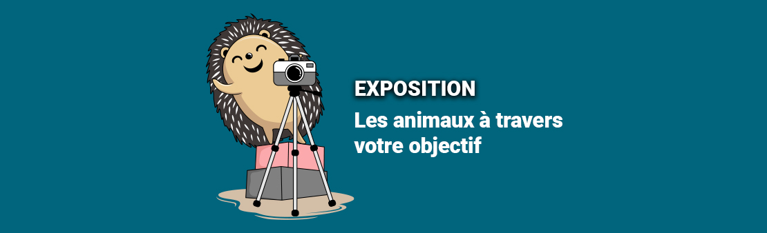 Exposition – Appel à candidatures : les animaux à travers votre objectif
