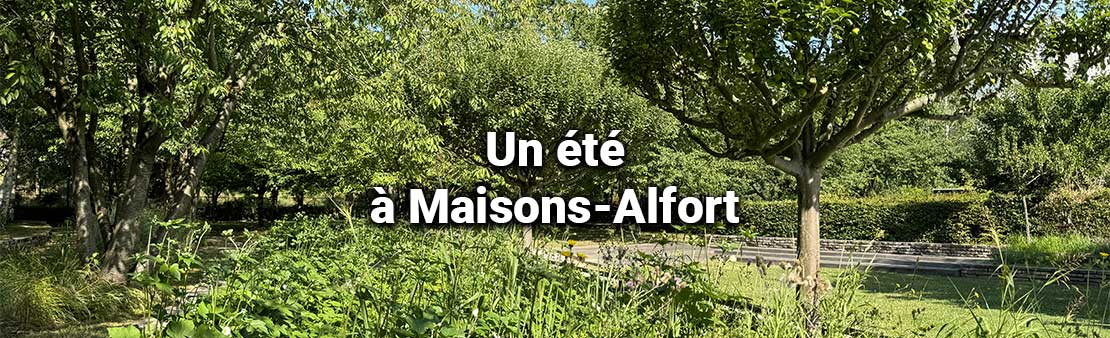 Un été à Maisons-Alfort
