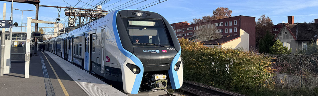 Transports : RER D, tous les trains mènent à Maisons-Alfort !
