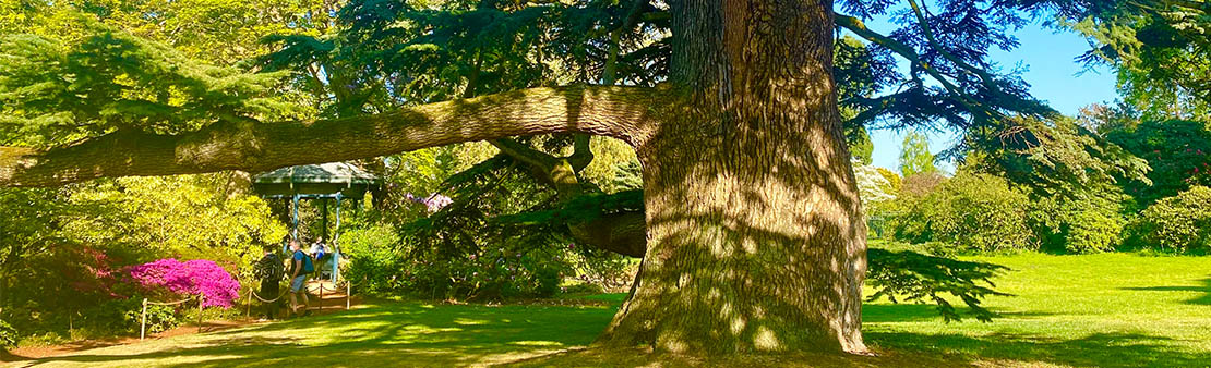 Visite de Châtenay-Malabry et de l&rsquo;Arboretum