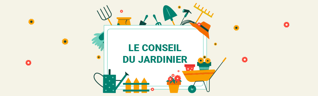 Le conseil du jardinier de la ville : Préparez dès à présent votre jardin pour le printemps