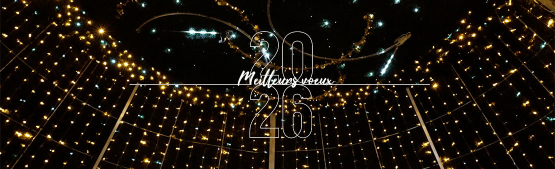 Meilleurs vœux 2026