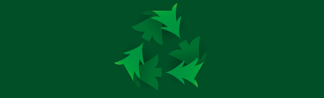 Je recycle mon sapin de Noël