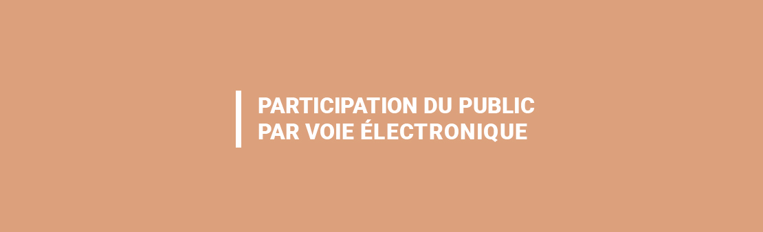 Participation du public par voie électronique sur la demande de permis de construire et de permis d&rsquo;aménager déposés par la SAS ALFORTVILLE BABEUF