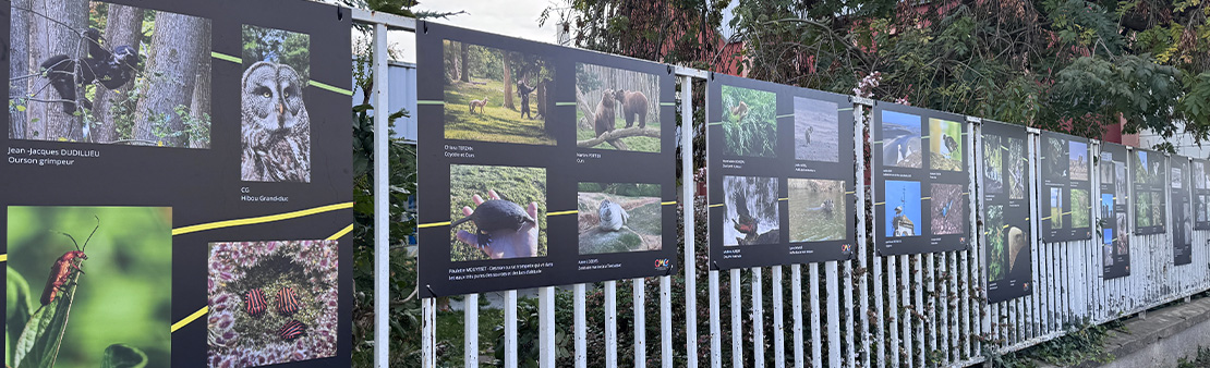 Appel à candidatures : participez à une exposition en plein air
