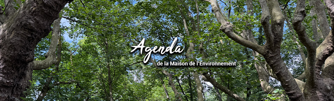 Agenda